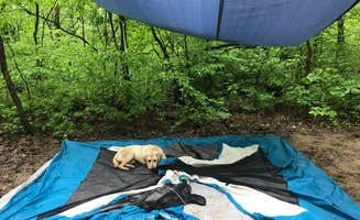 Kevin D.'s photo at Gifford Pinchot State Park Campground near Elizabethtown, PA