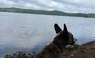 Summer A.'s photo of camping with pets at Second Creek Rec Area near Muscle Shoals, AL