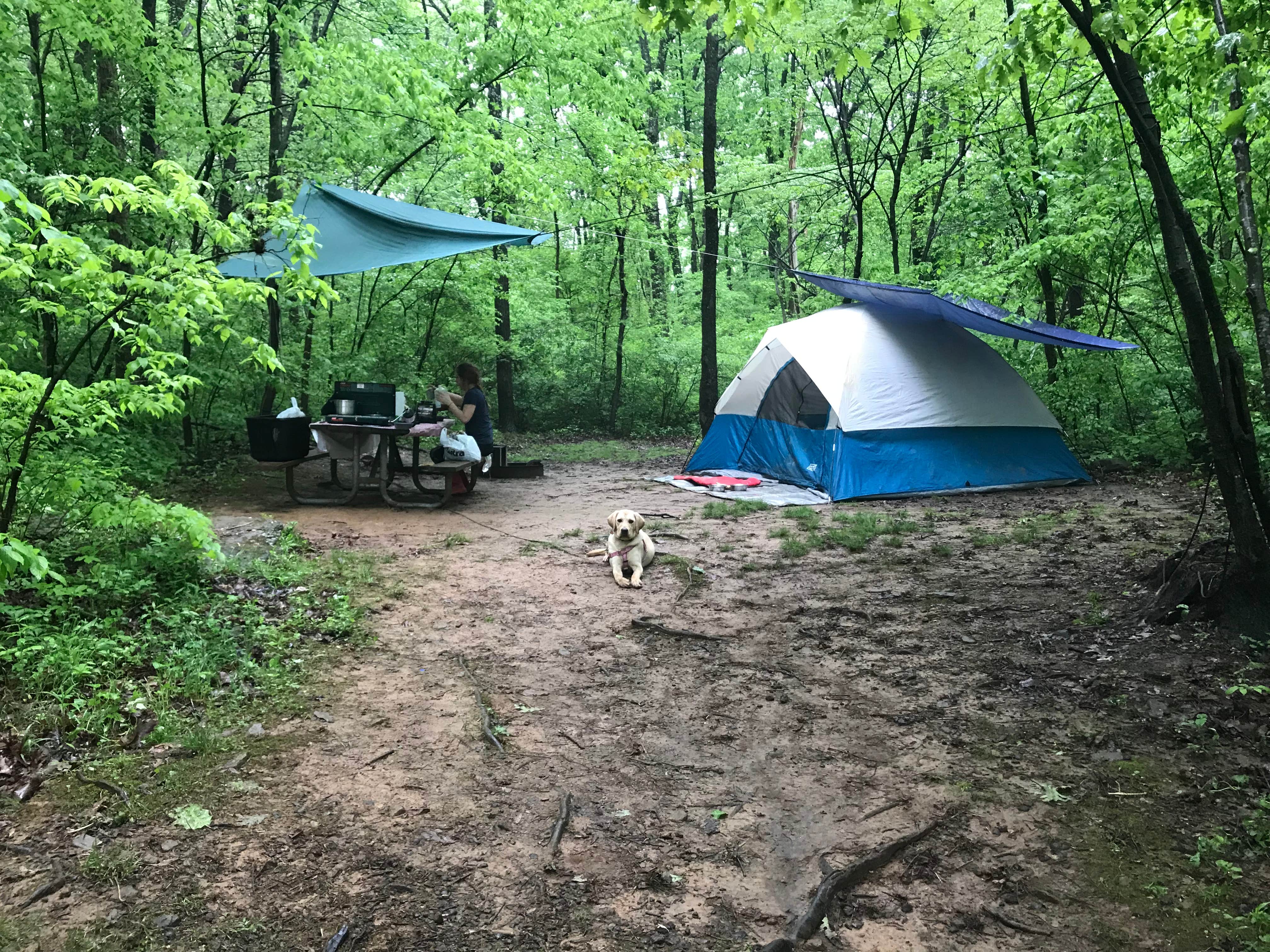 Kevin D.'s photo at Gifford Pinchot State Park Campground near Highspire, PA
