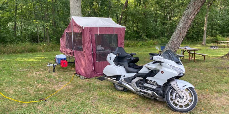 Camper submitted image from Lake Alexander RV Park