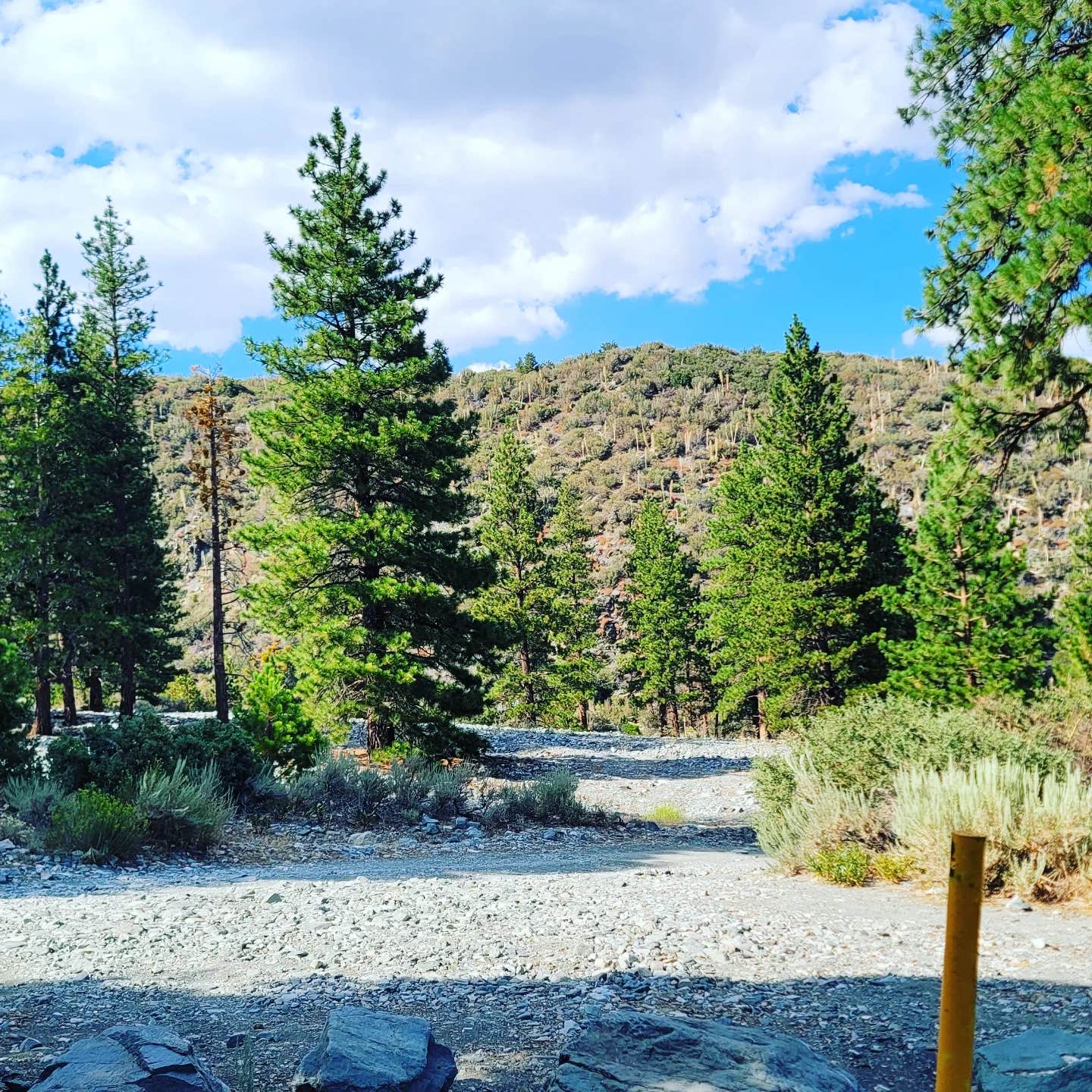 Camper-submitted photo at Stockton Flats Yellow Post Sites 3-8 near Crestline, CA