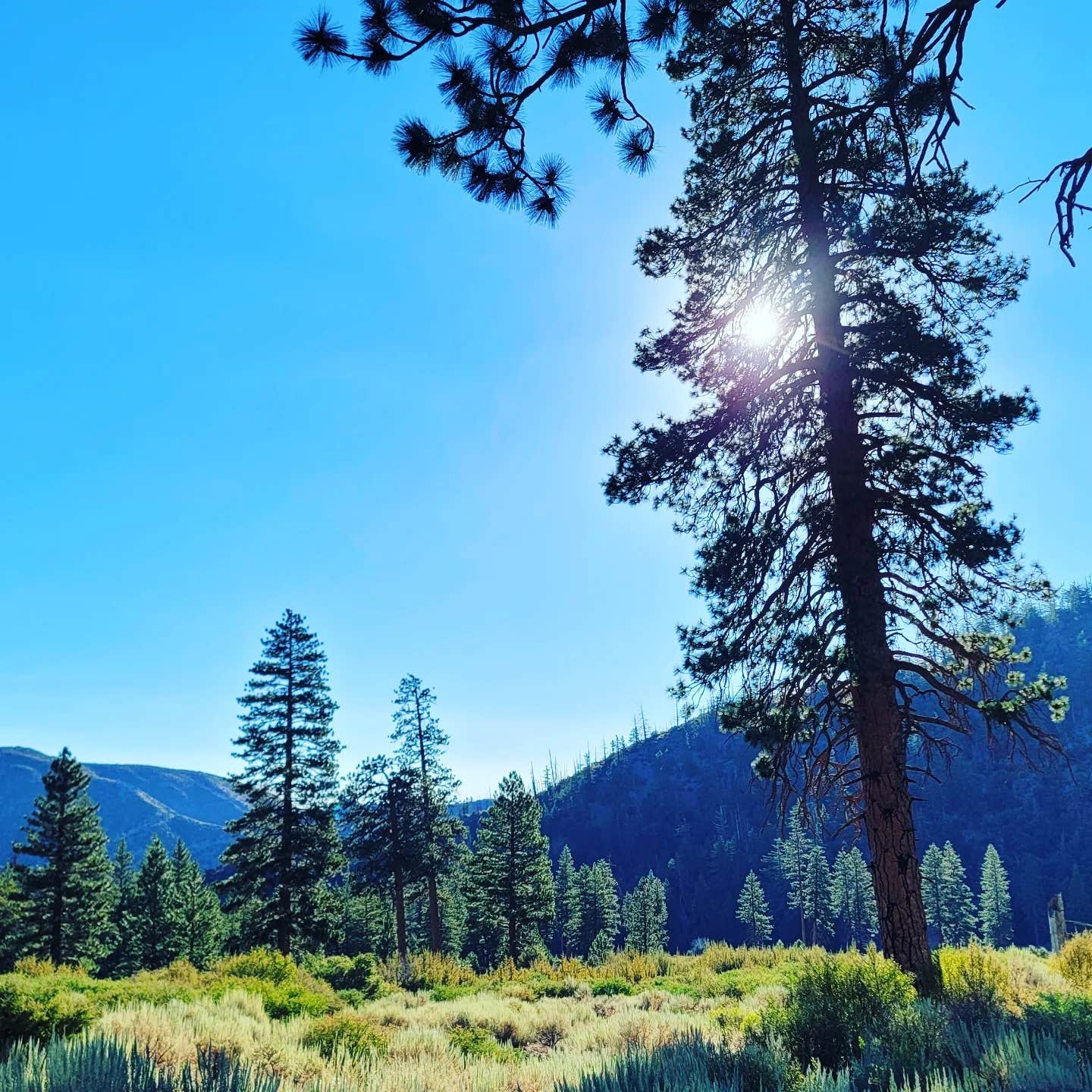 Camper-submitted photo at Stockton Flats Yellow Post Sites 3-8 near Crestline, CA