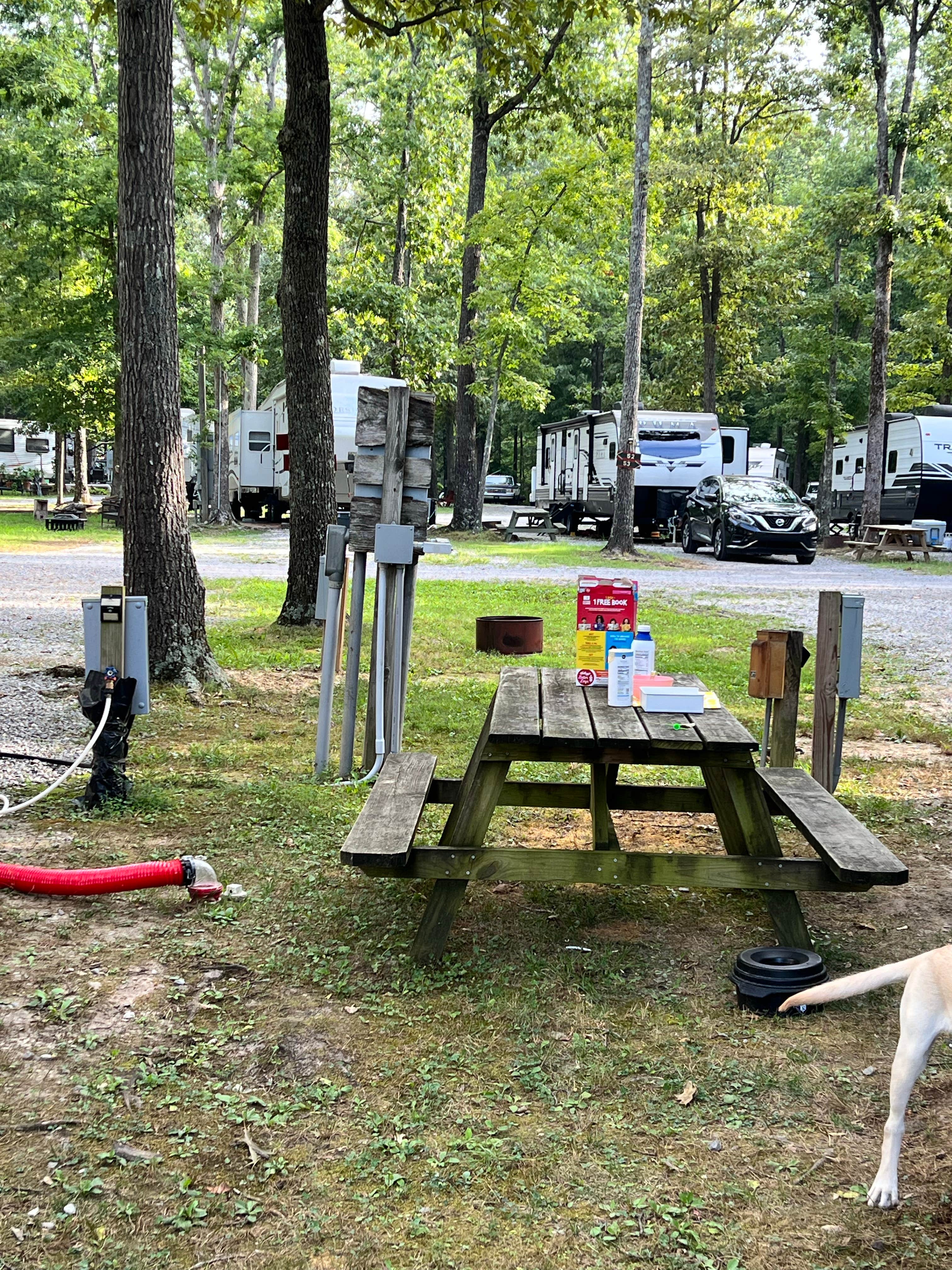Maggie  C.'s photo of camping with pets at Whispering Oaks Campground near Lynchburg, Moore County, TN