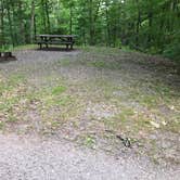 Review photo of Primitive Camping Area — Bald Eagle State Park by Kevin D., July 25, 2018