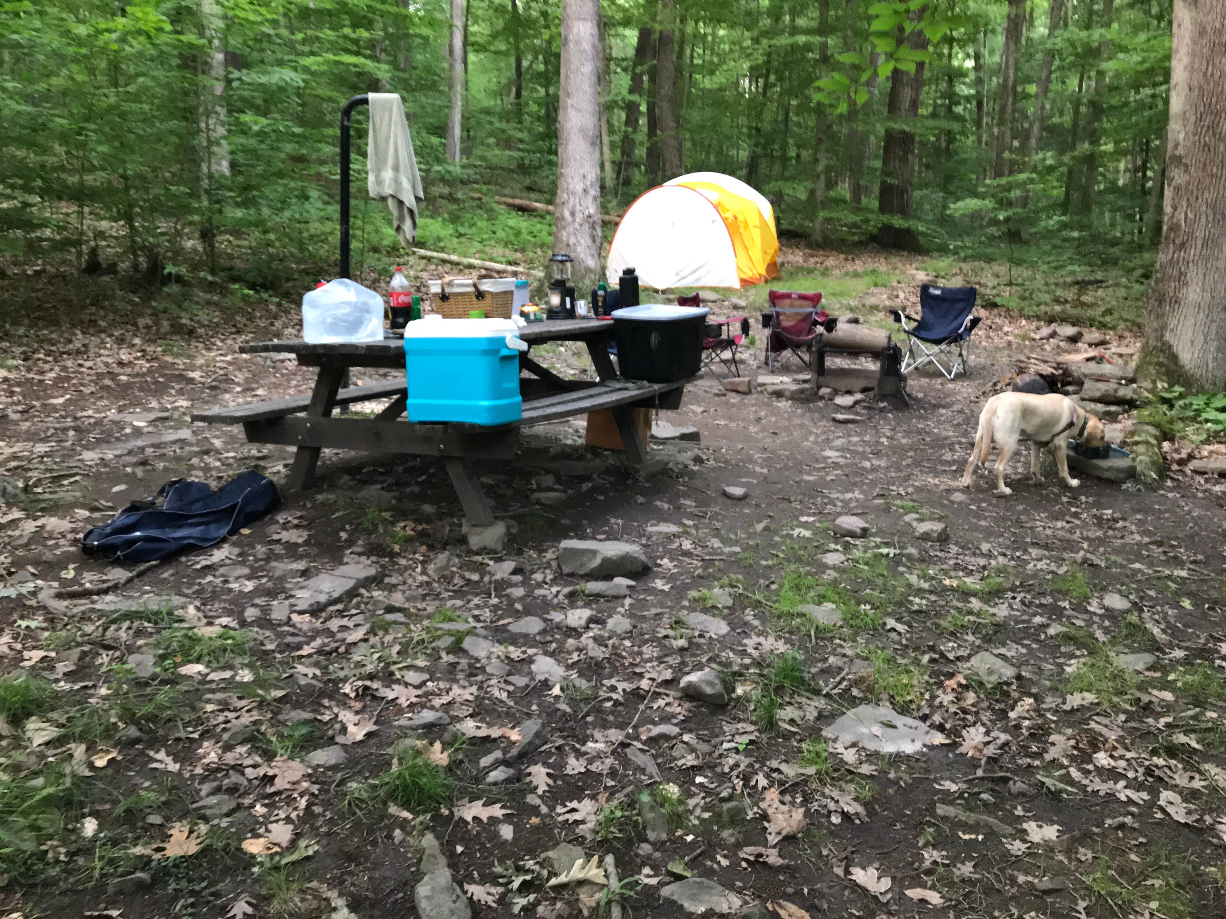 Kevin D.'s photo at Primitive Camping Area — Bald Eagle State Park near Westport, PA