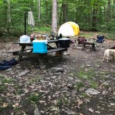 Review photo of Primitive Camping Area — Bald Eagle State Park by Kevin D., July 25, 2018