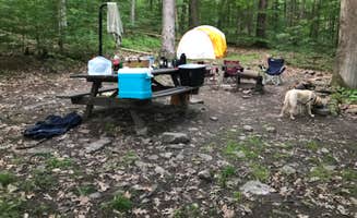 Kevin D.'s photo at Primitive Camping Area — Bald Eagle State Park near State College, PA