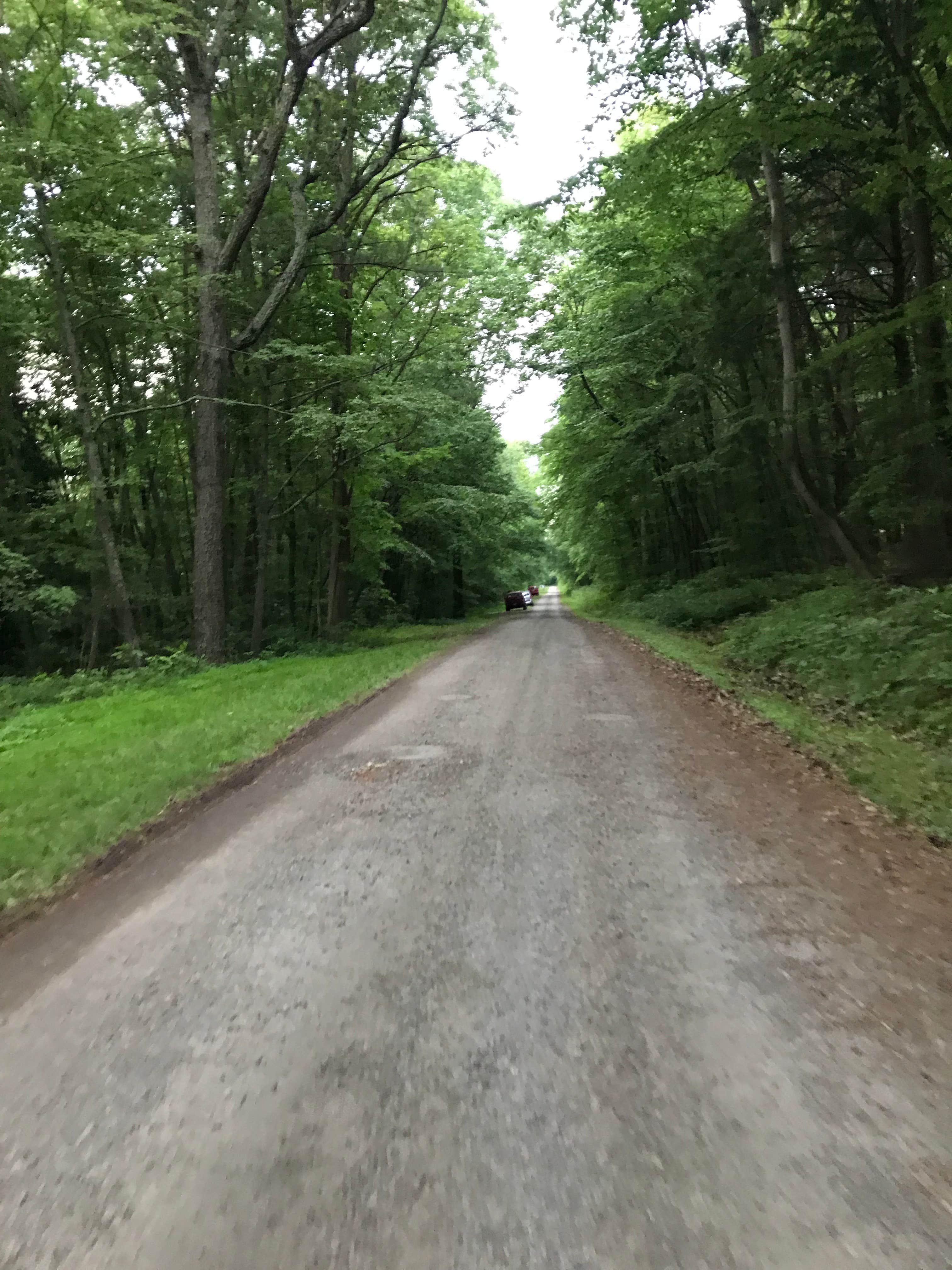 Camper-submitted photo at Primitive Camping Area — Bald Eagle State Park near Lemont, PA
