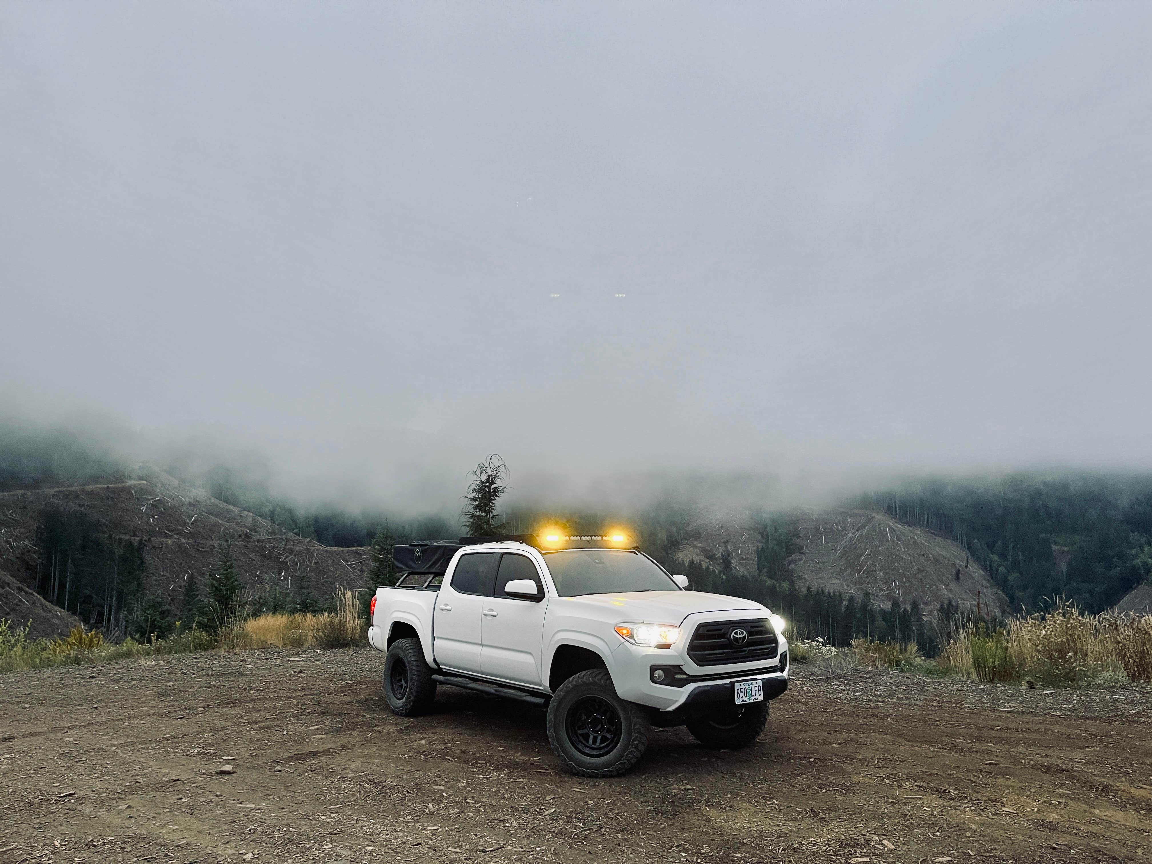 Camper submitted image from Tillamook State Forest Dispersed Camping - 3