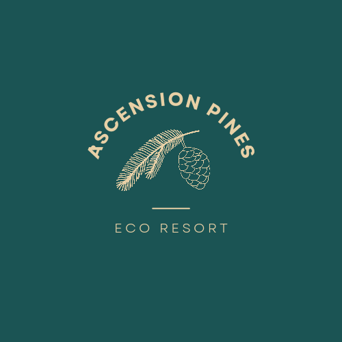 Camping near Hopkins Creek State Forest Campground: Ascension Pines, South Boardman, Michigan