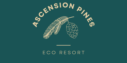 Camper submitted image from Ascension Pines