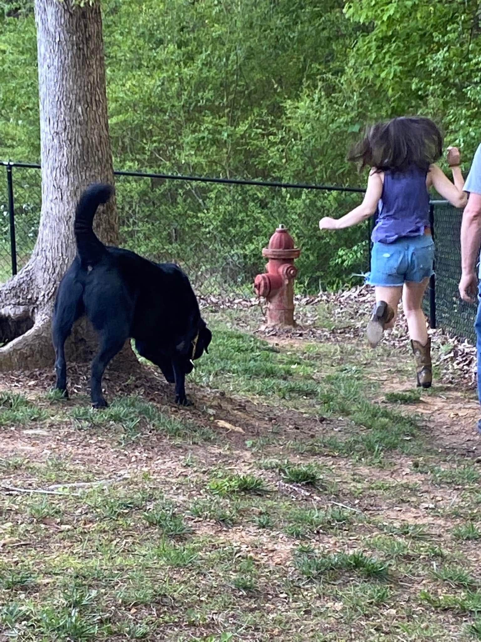 Lisa S.'s photo of camping with pets at Iron City Campground, Inc. near Boiling Springs, NC