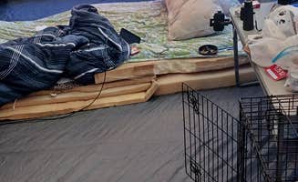 Brandon B.'s photo at Jackson Island Dispersed Campground — Tennessee Valley Authority (TVA) near Rockwood, TN