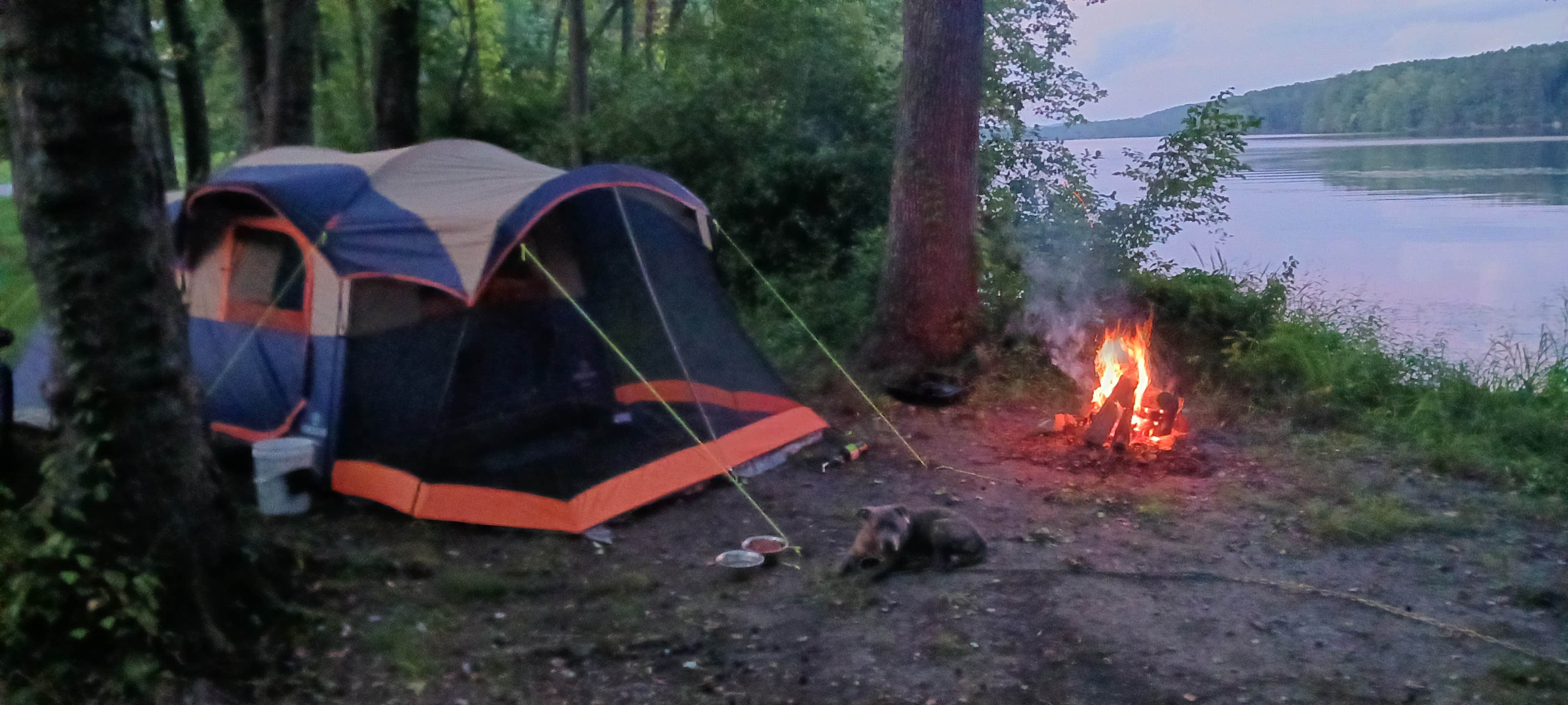 Camper-submitted photo at Jackson Island Dispersed Campground — Tennessee Valley Authority (TVA) near Cookeville, TN