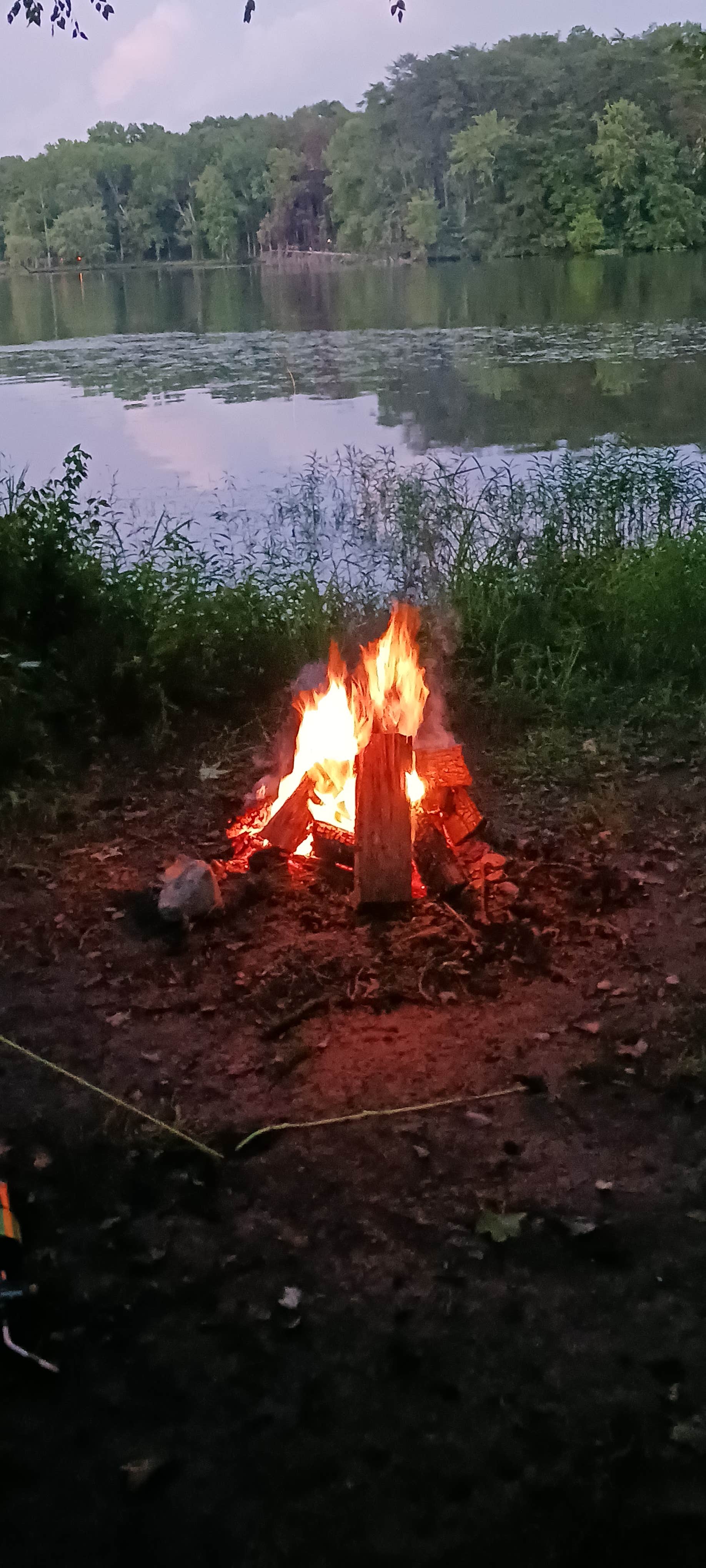 Camper submitted image from Jackson Island Dispersed Campground — Tennessee Valley Authority (TVA) - 1