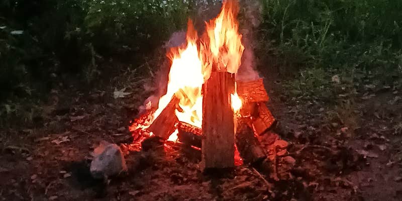 Camper submitted image from Jackson Island Dispersed Campground — Tennessee Valley Authority (TVA)