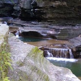 Review photo of Watkins Glen State Park Campground by Marc S., September 8, 2022