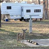 Review photo of Lake of the Ozarks State Park Campground by Jen K., September 8, 2022