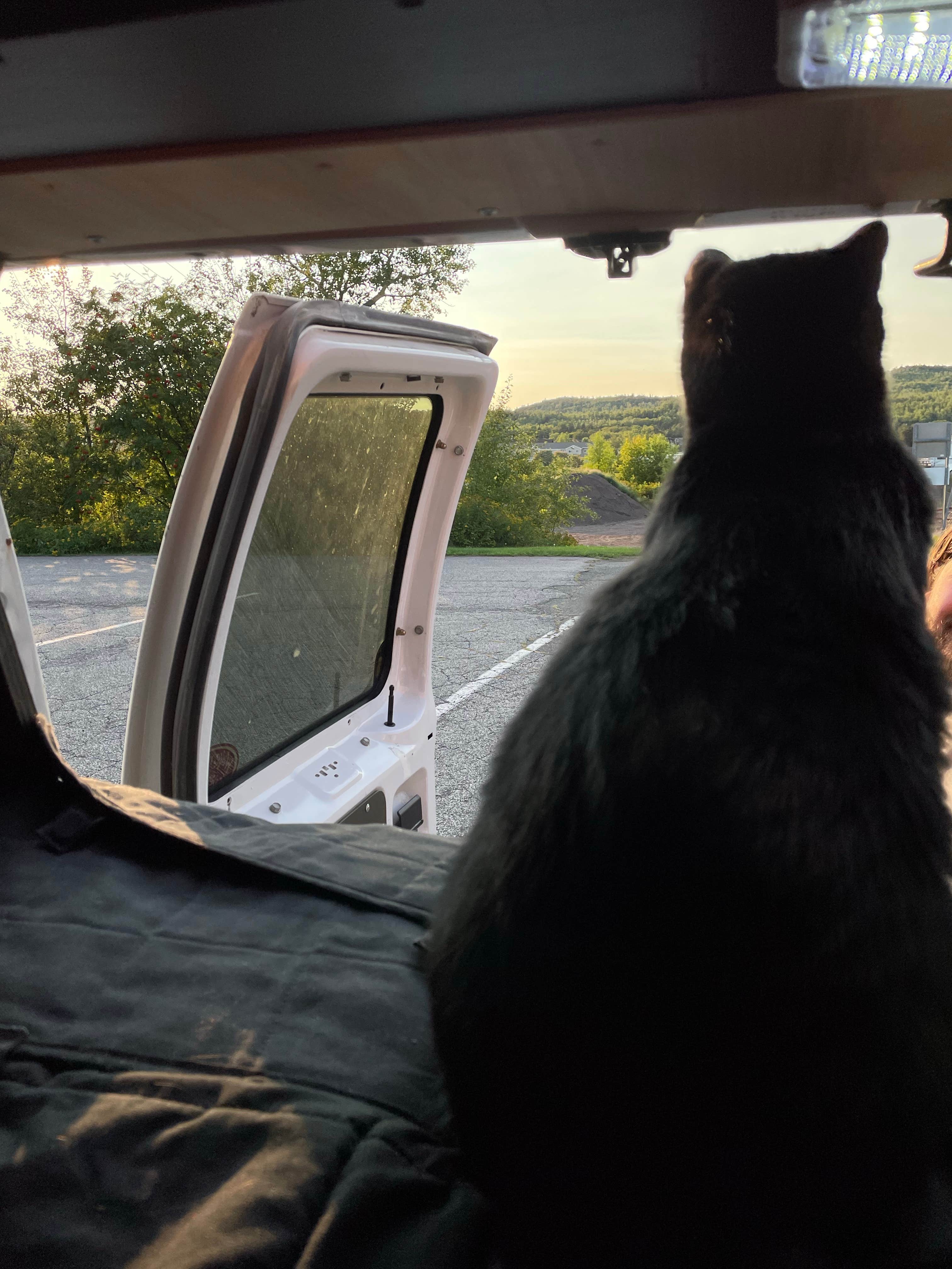 Camper-submitted photo at Silver Bay RV Parking near Illgen City, MN