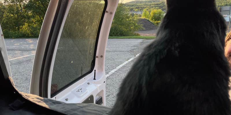 Camper submitted image from Silver Bay RV Parking