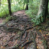 Review photo of Spring Mill State Park Campground by Stephen  H., September 8, 2022