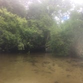 Review photo of Juniper Springs Rec Area - Tropical Camp Area by Melissa R., July 25, 2018
