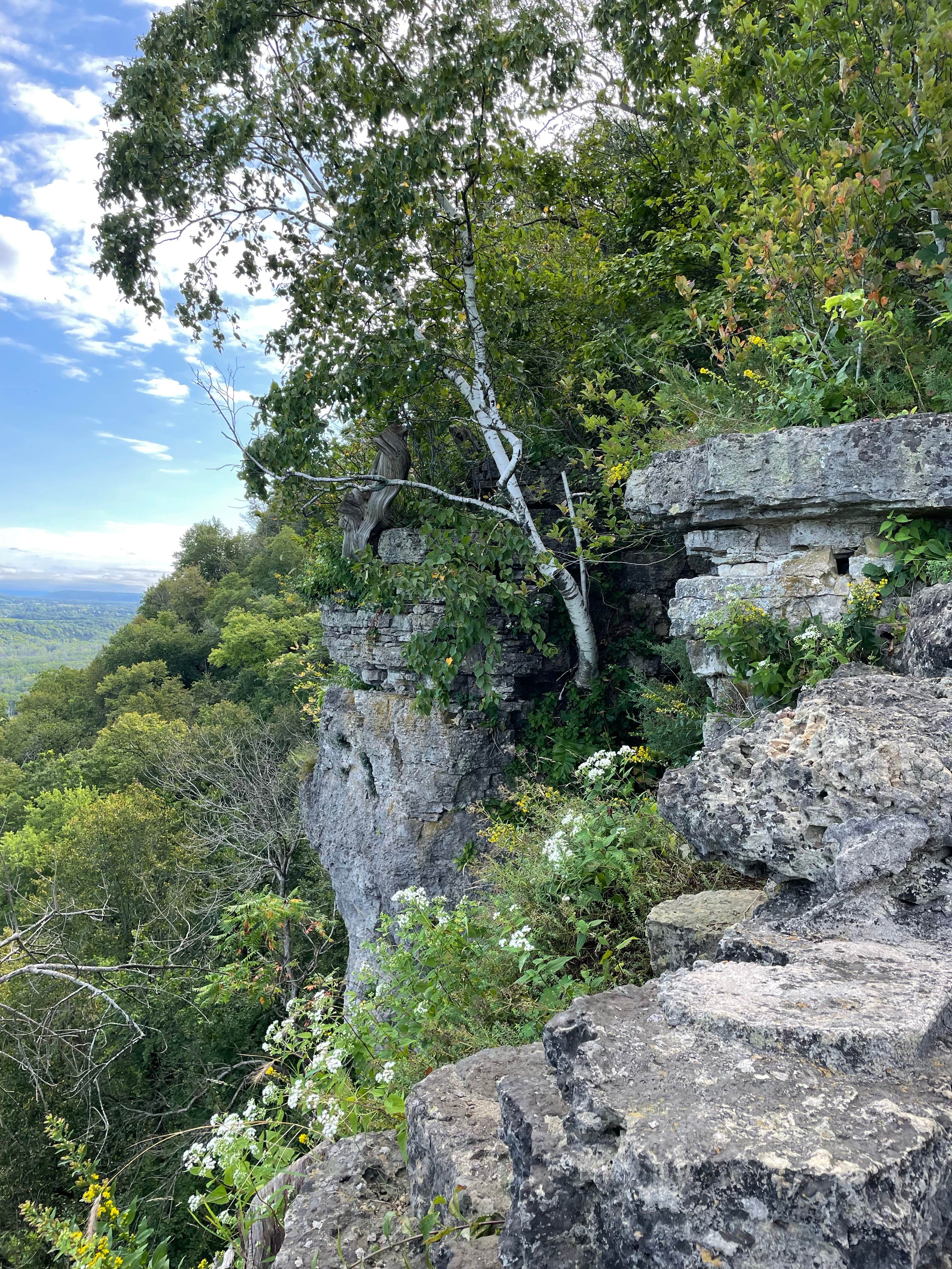 Camper-submitted photo at Homestead Campground — Wyalusing State Park near Fennimore, WI