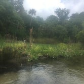 Review photo of Juniper Springs Rec Area - Tropical Camp Area by Melissa R., July 25, 2018