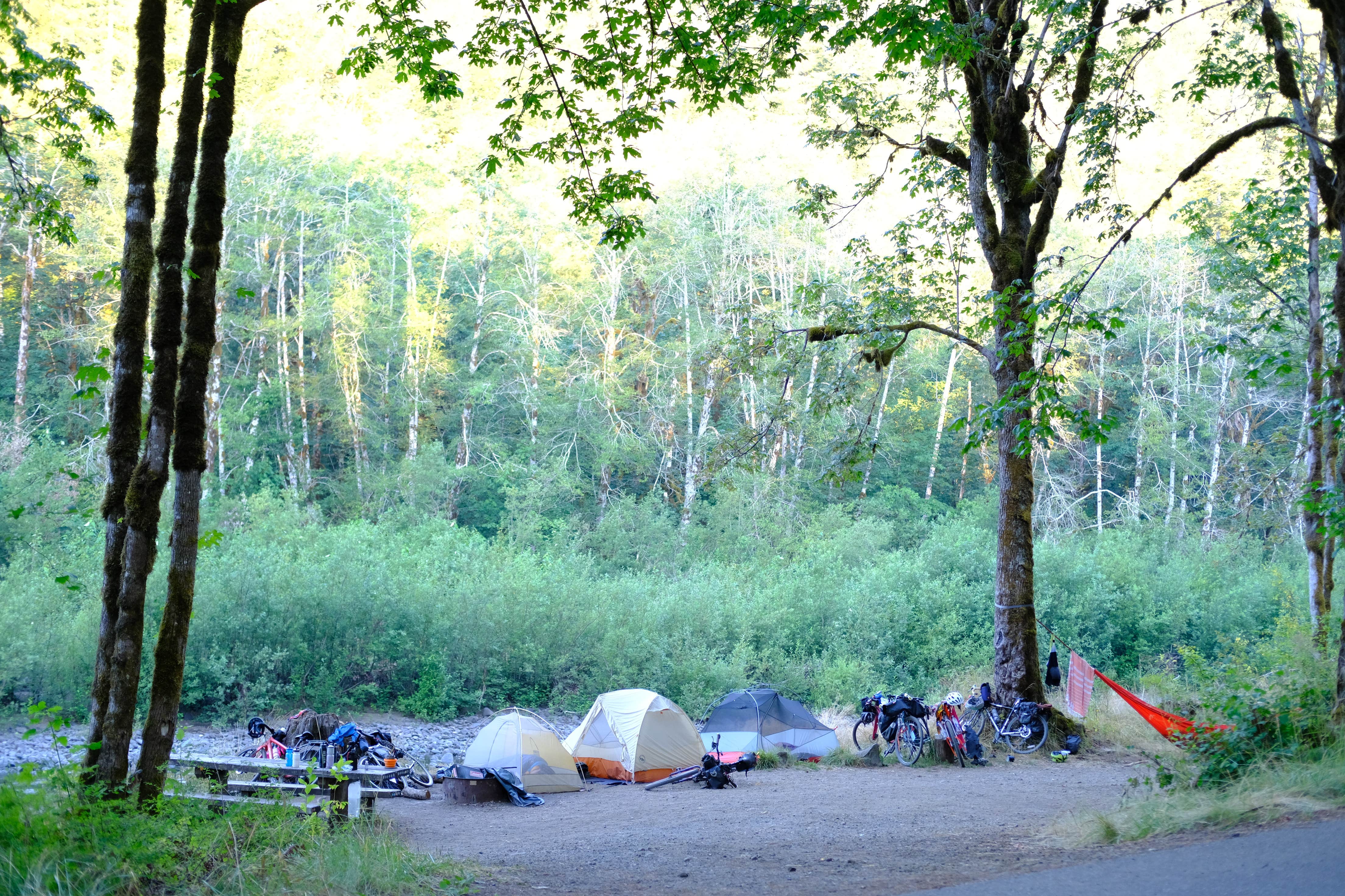 Camper-submitted photo at Brown Creek Campground near Matlock, WA