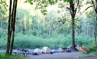 Molly S.'s photo at Brown Creek Campground near Olympic National Forest