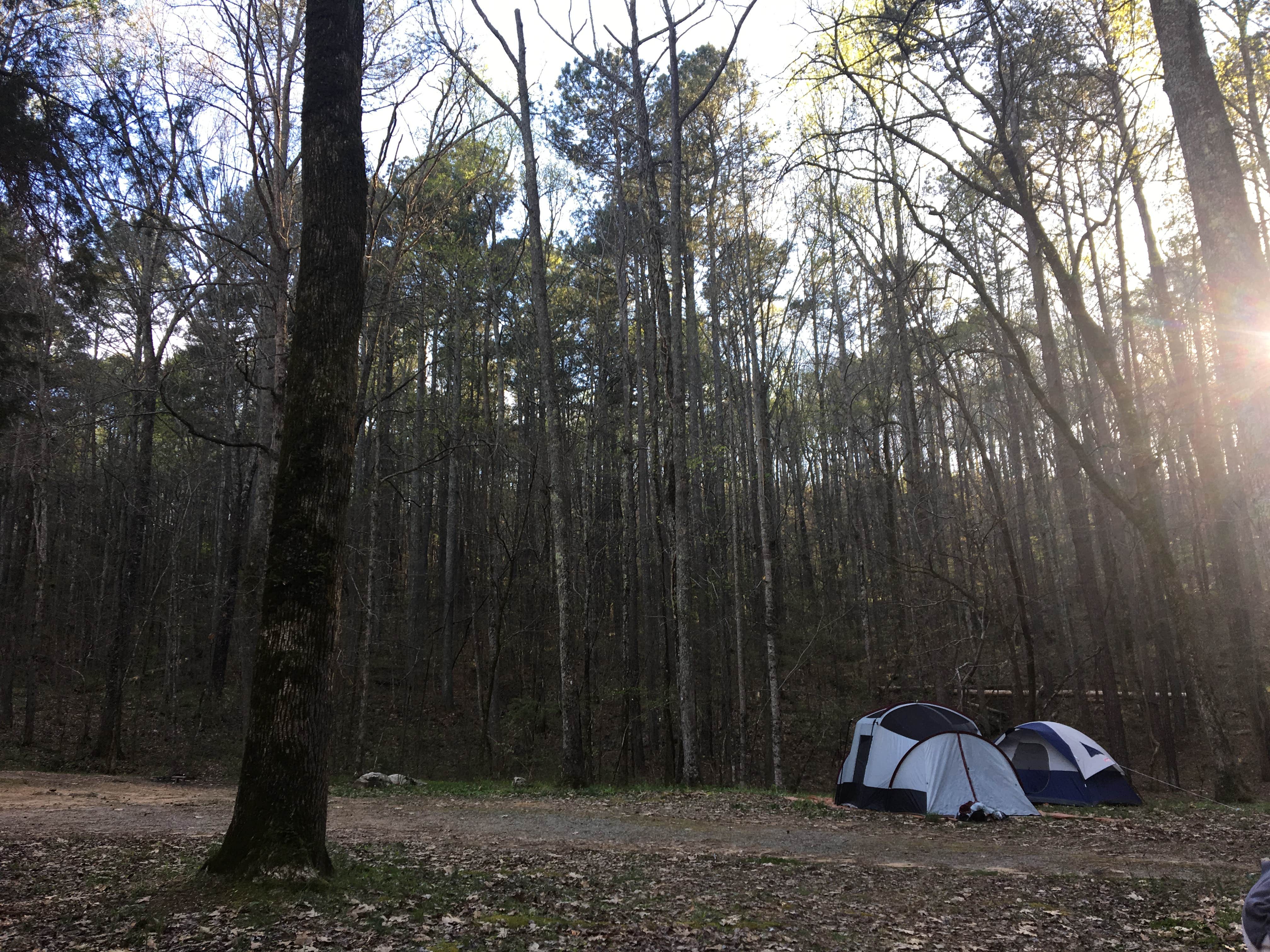 Camper submitted image from Rickwood Caverns State Park Campground - 3