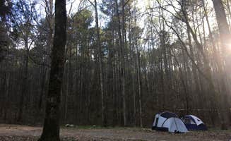 Melissa R.'s photo at Rickwood Caverns State Park Campground near Pinson, AL