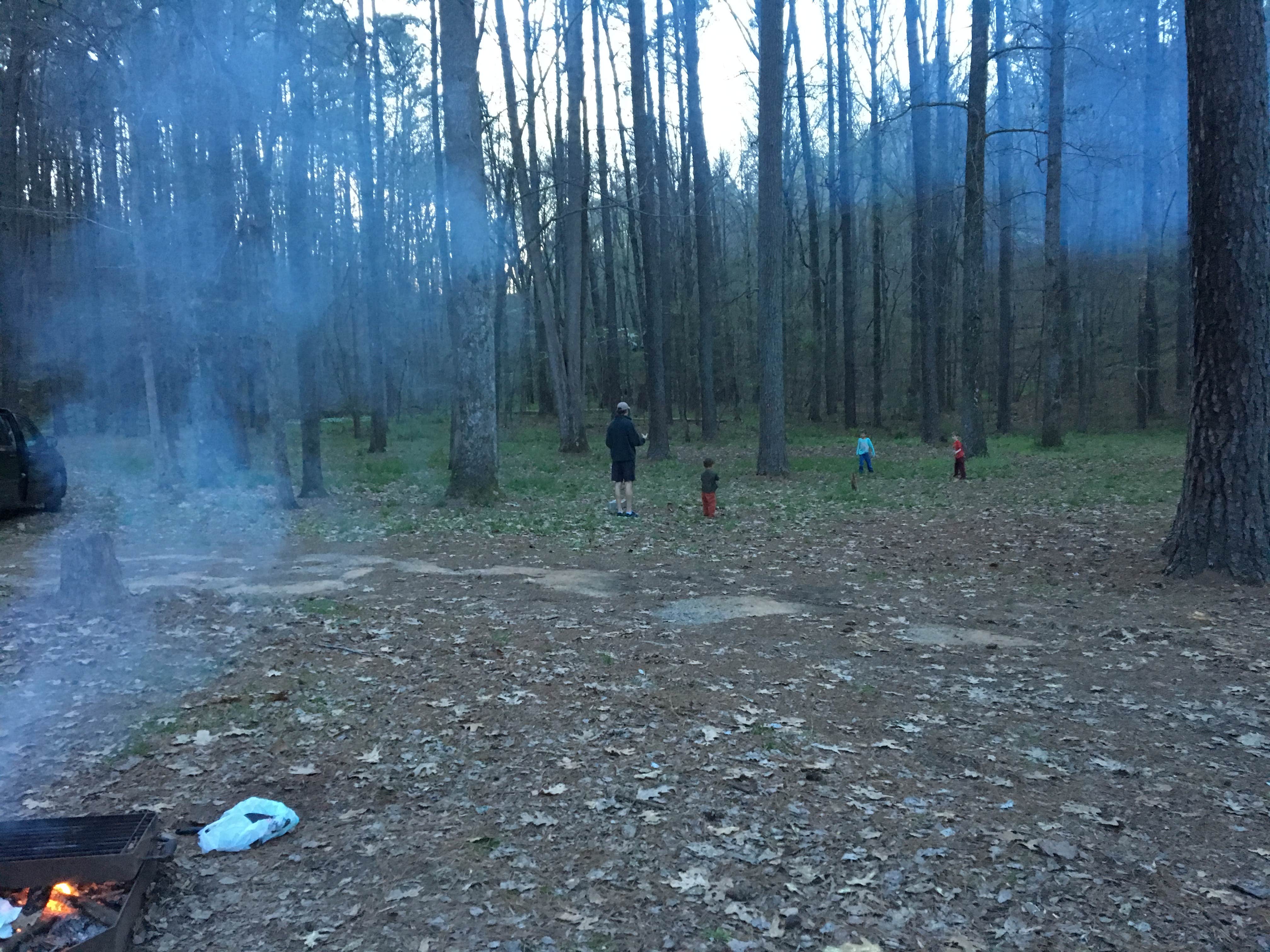 Lots of space between campsites