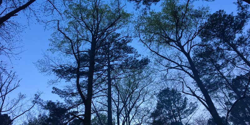 Camper submitted image from Rickwood Caverns State Park Campground