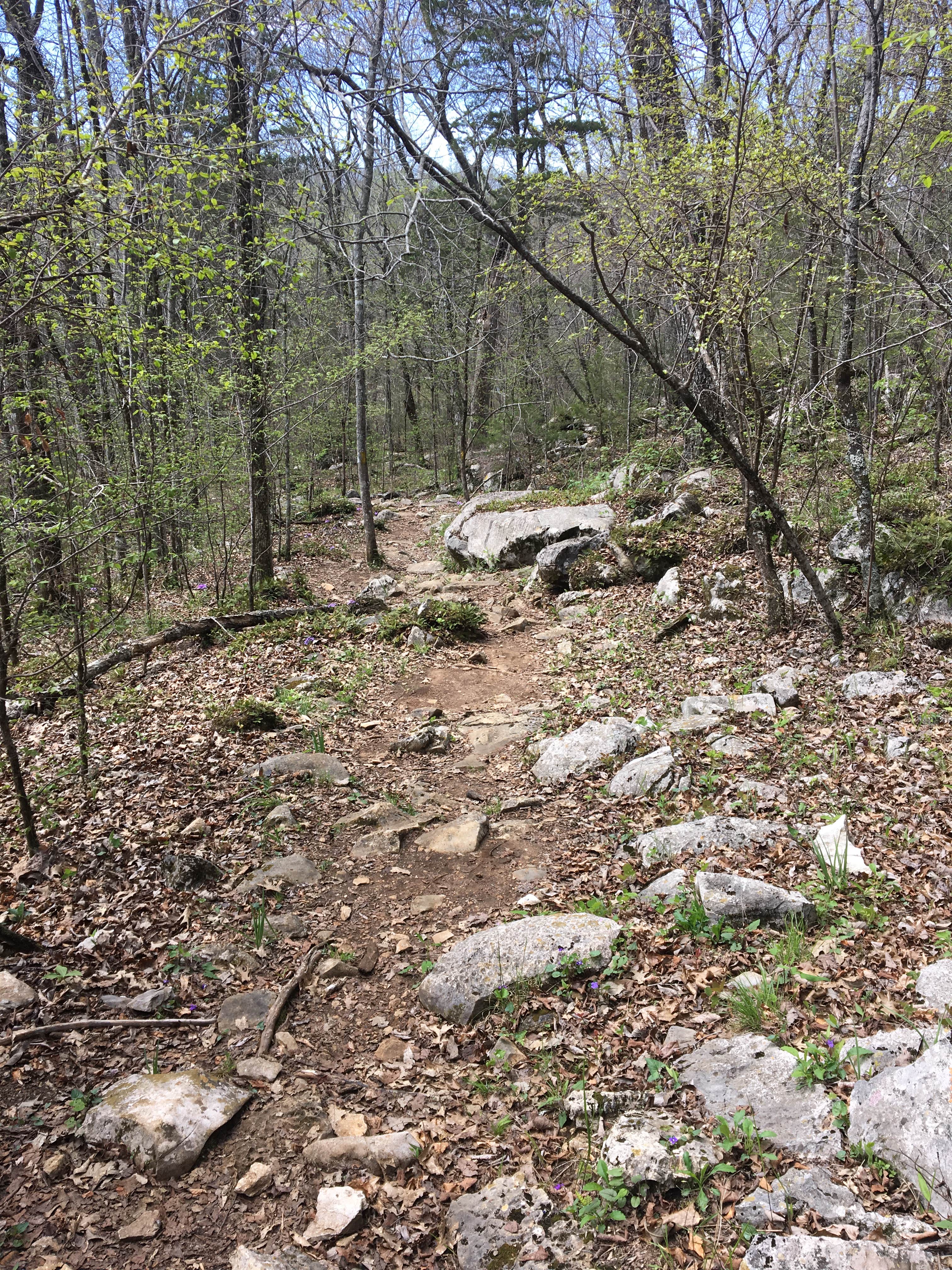 Rocky, but fairly easy hike