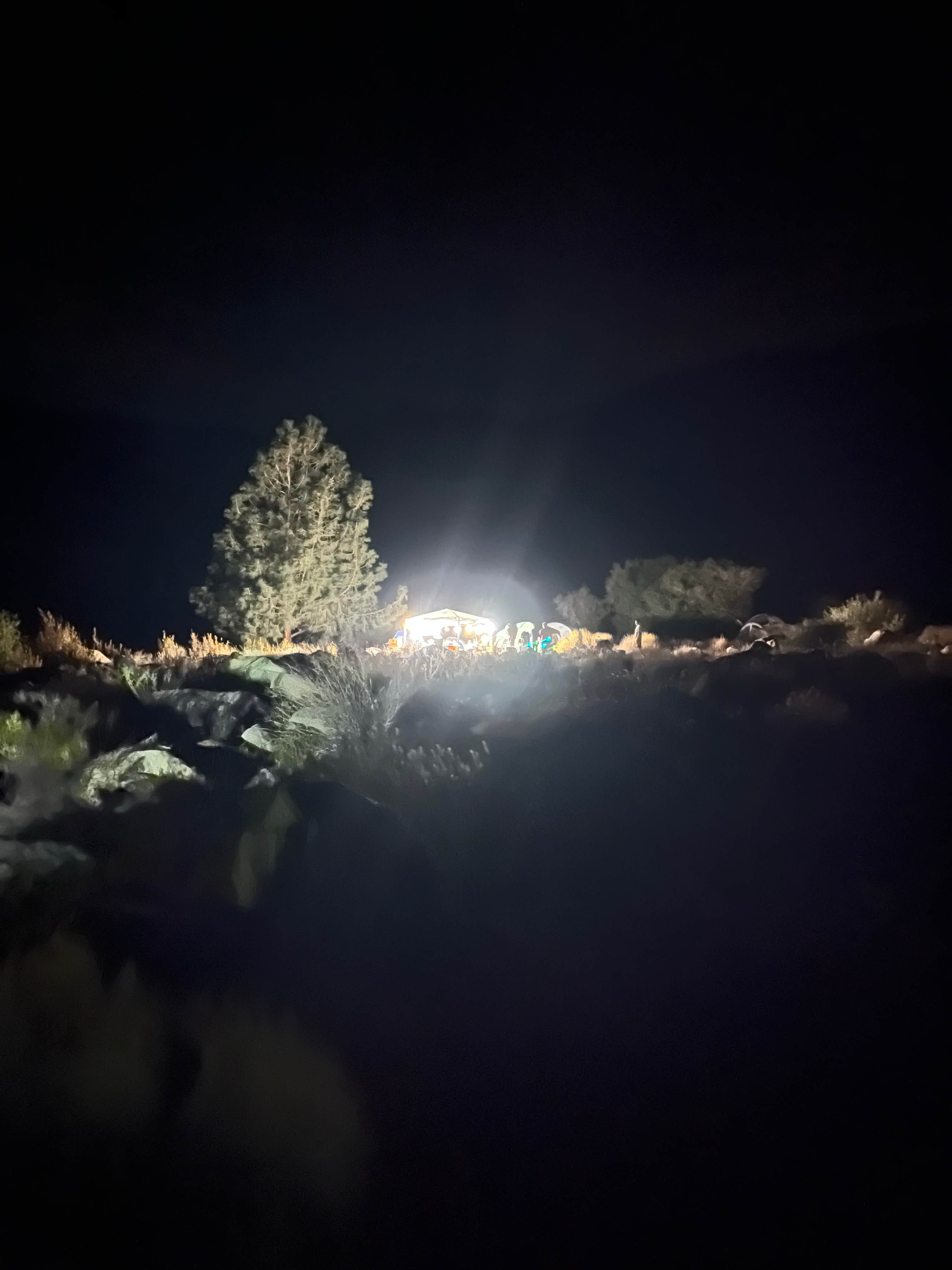 Camper-submitted photo at Chico Flat Dispersed Camping - Partially Closed, See Description near Onyx, CA