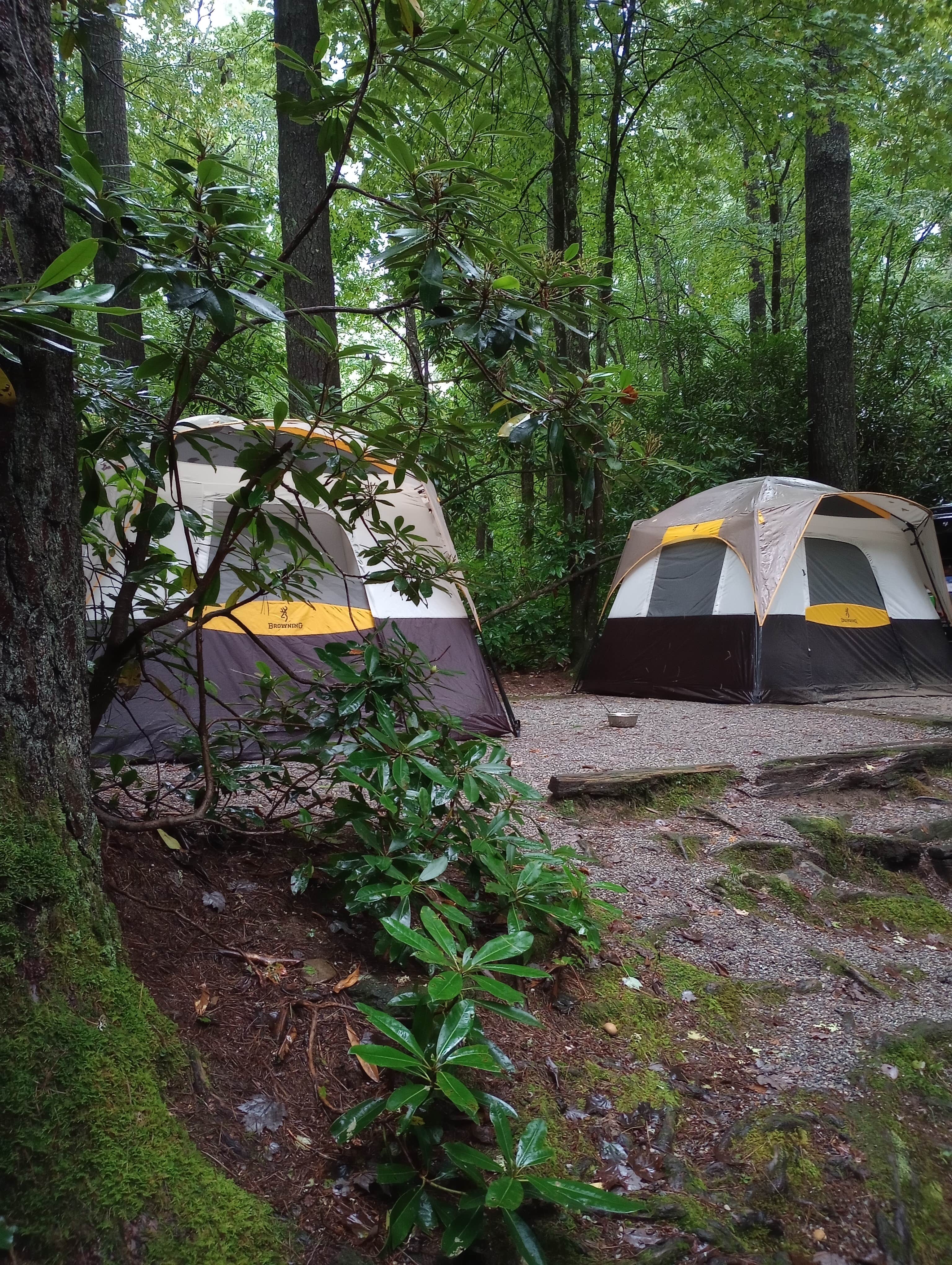 CJ C.'s photo at Van Hook Glade near Scaly Mountain, NC