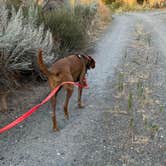 Review photo of Threemile Canyon Park by deanna , September 9, 2022