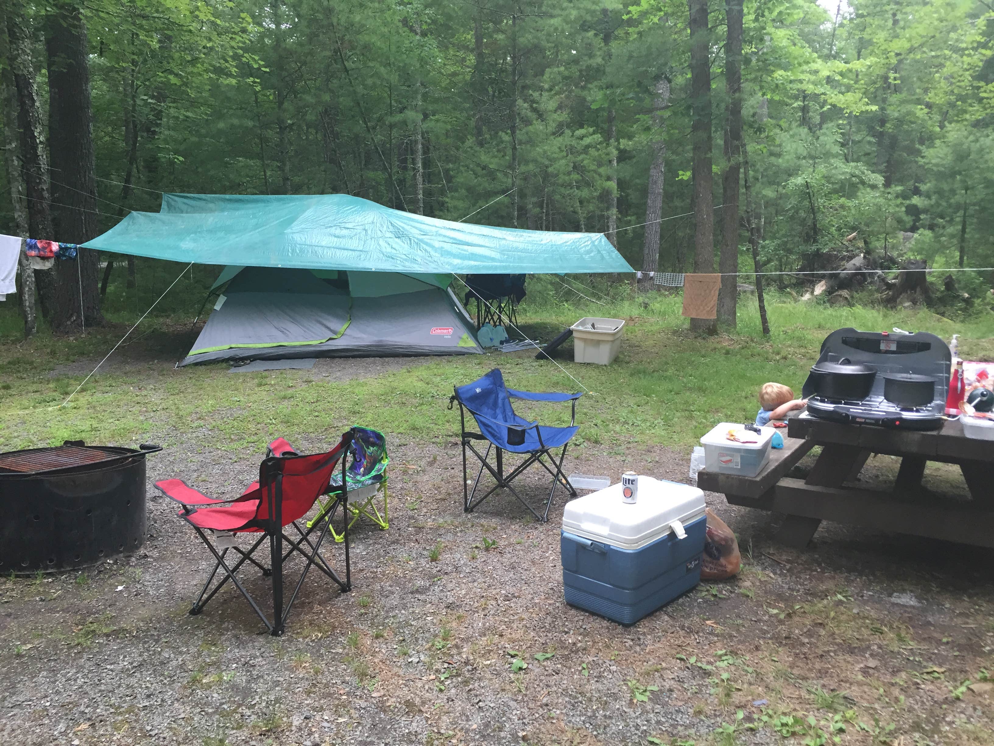 Camper submitted image from Lake Sherwood - 4