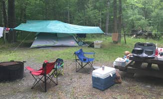 Susie M.'s photo at Lake Sherwood near Covington, VA