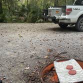 Review photo of Palmetto Island State Park Campground by Tyler H., September 9, 2022