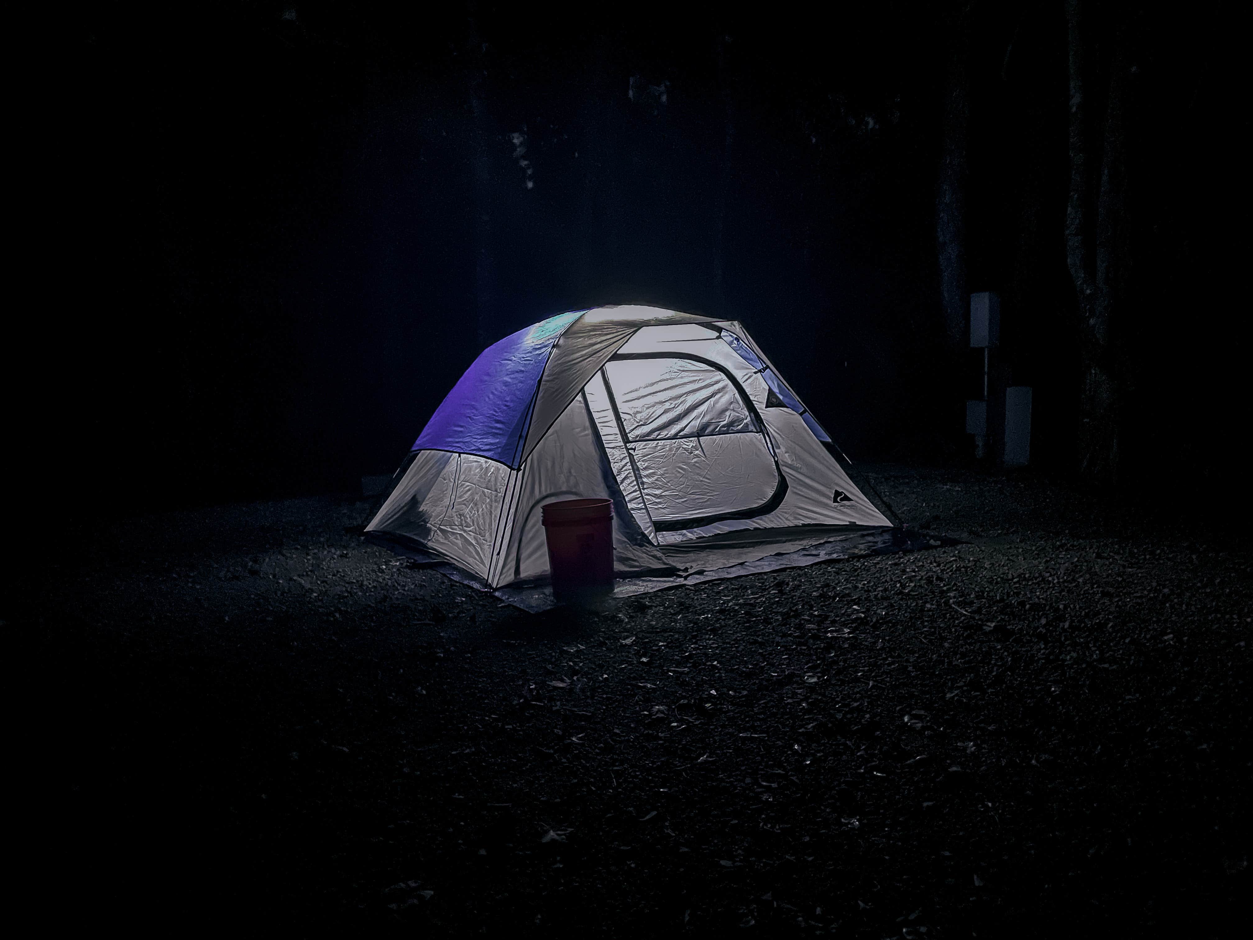 Palmetto Island State Park Campground