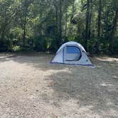 Review photo of Palmetto Island State Park Campground by Tyler H., September 9, 2022