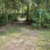 Review photo of Palmetto Island State Park Campground by Tyler H., September 9, 2022