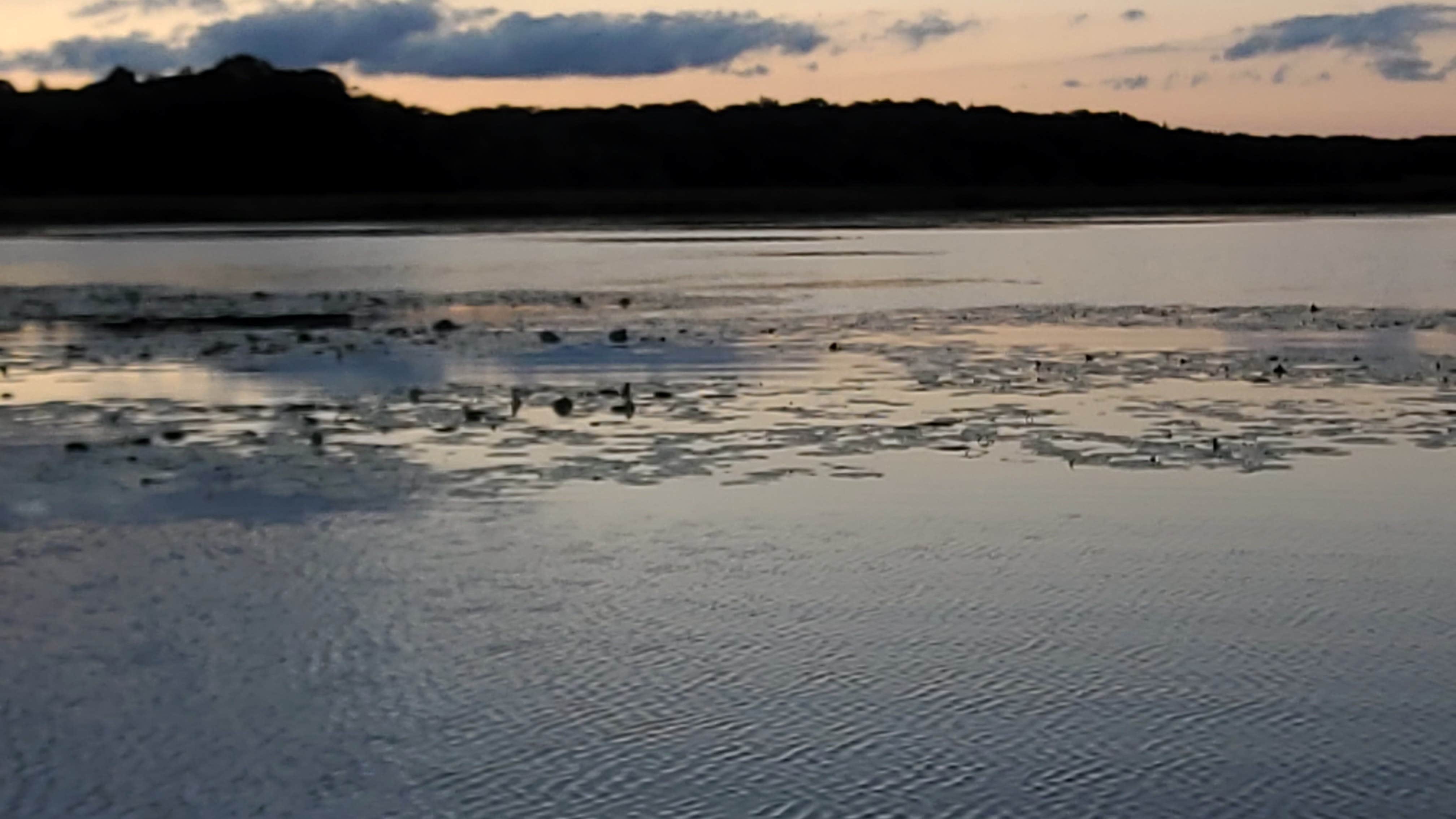 Camper-submitted photo at Prairie View — Chain O' Lakes State Park near Wonder Lake, IL