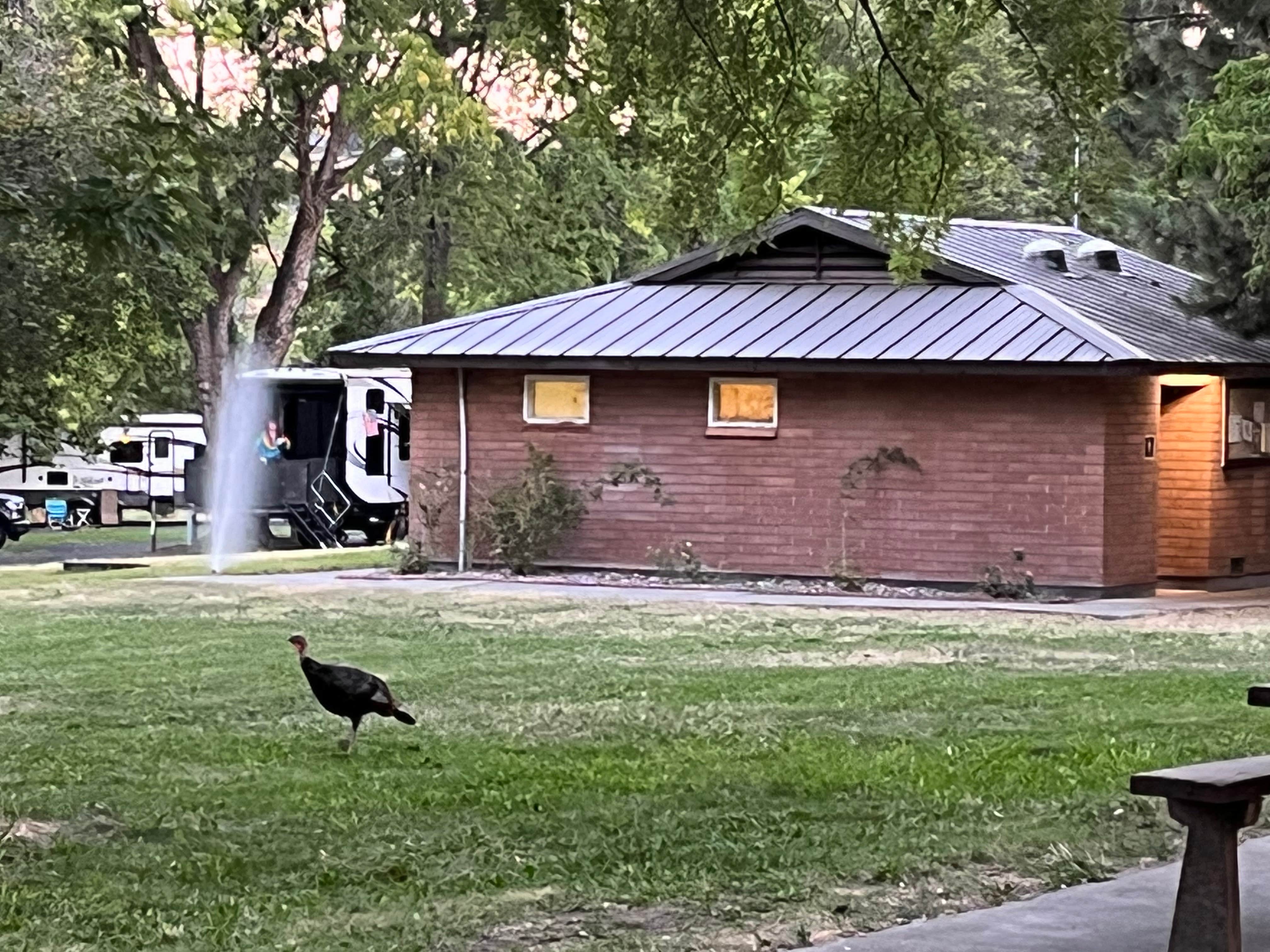 Camper-submitted photo at Hells Gate State Park Campground near Deary, ID