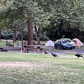 Review photo of Hells Gate State Park Campground by Paul M., September 6, 2022