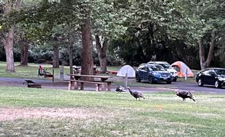 Paul M.'s photo at Hells Gate State Park Campground near Asotin, WA