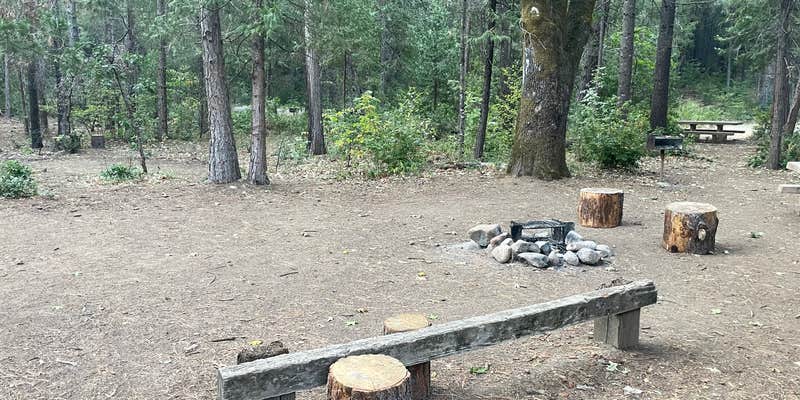 Camper submitted image from Sims Flat Campground