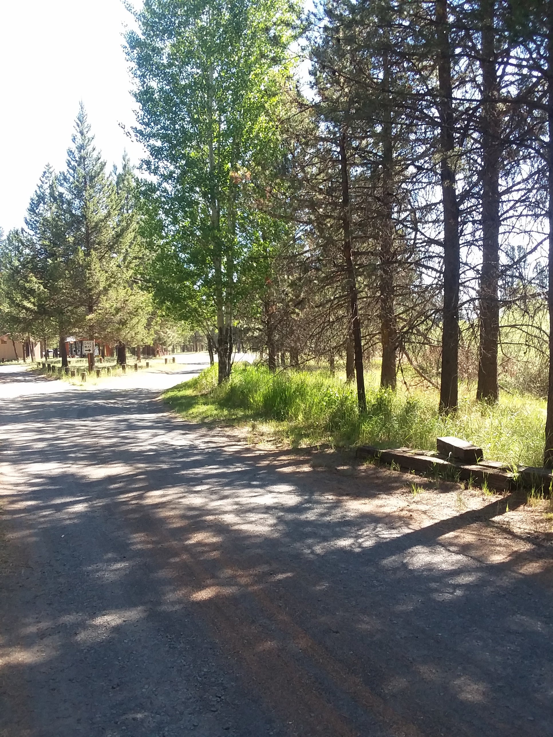 Camper submitted image from Rosland Campground - CLOSED - 2